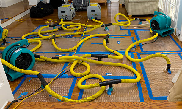 Professional Structural Drying And Dehumidification technician working in Lumberton, TX